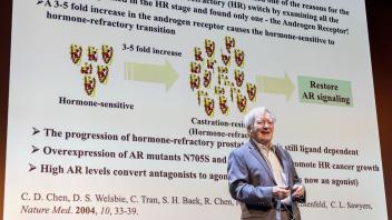 Professor Michael E. Jung presenting a slide. 