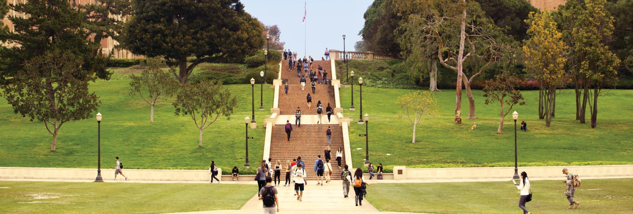 Janss Steps